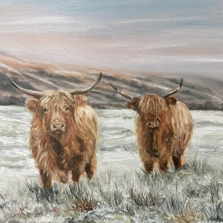 Image of two Highland cattle in snowy landscape by Janet Bird