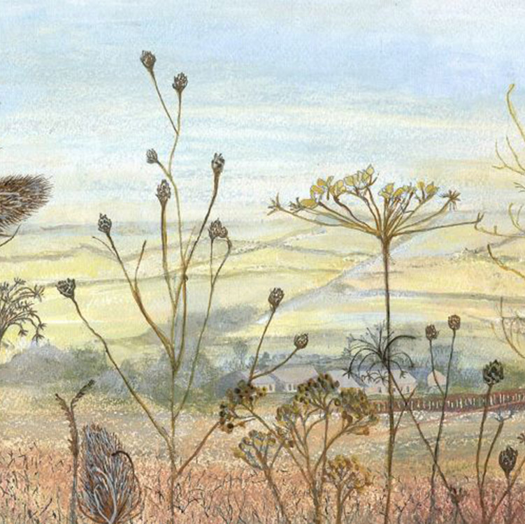 Judith Yarrow image of grassland