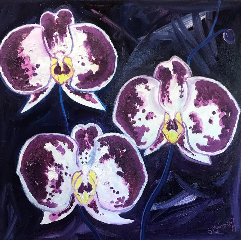 Sarah Moncrieff: Orchids