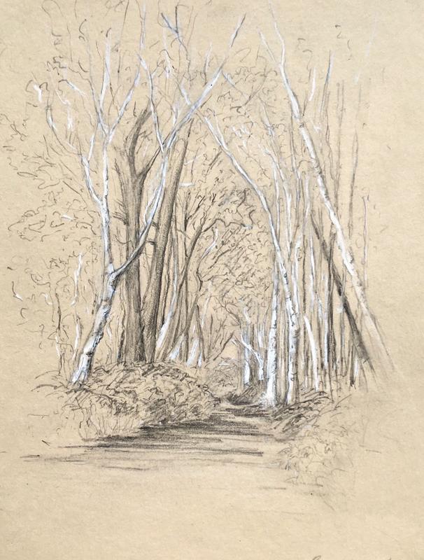 Emma Coleman-Jones: Silver birches, Brownsea Island  