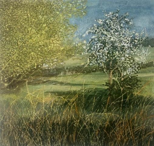 Judith Yarrow: Spring Field