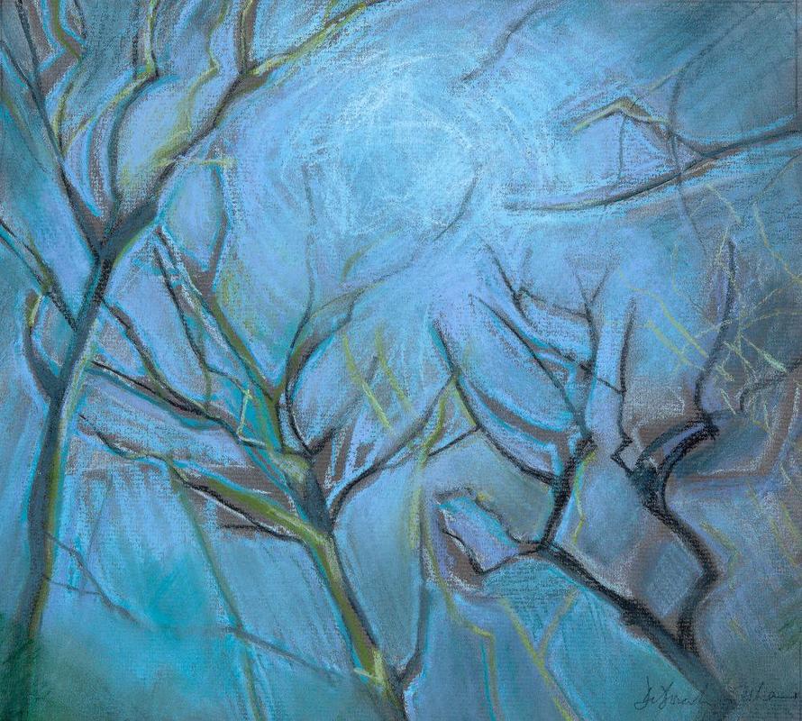 "Looking Up, Wytham Woods" (pastel)