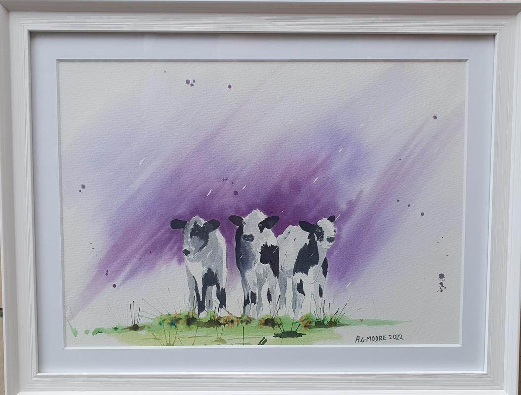 Calf's out in the rain. Brusho painting.