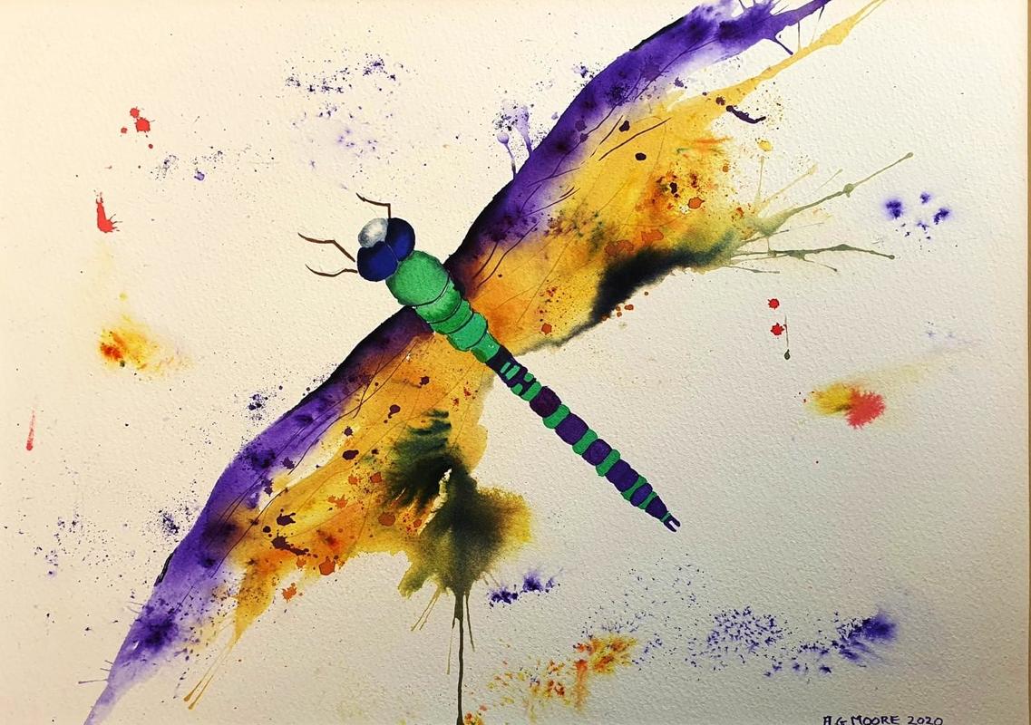 Dragonfly1, Brusho painting.
