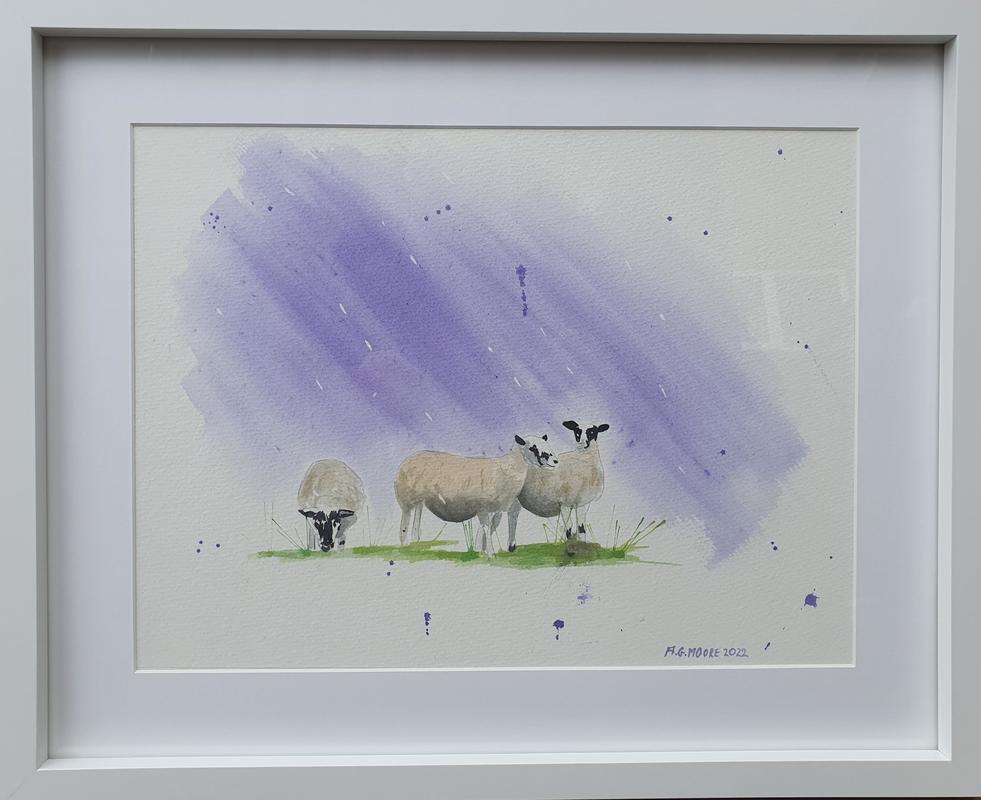 Sheep out in the rain, Brusho painting. 