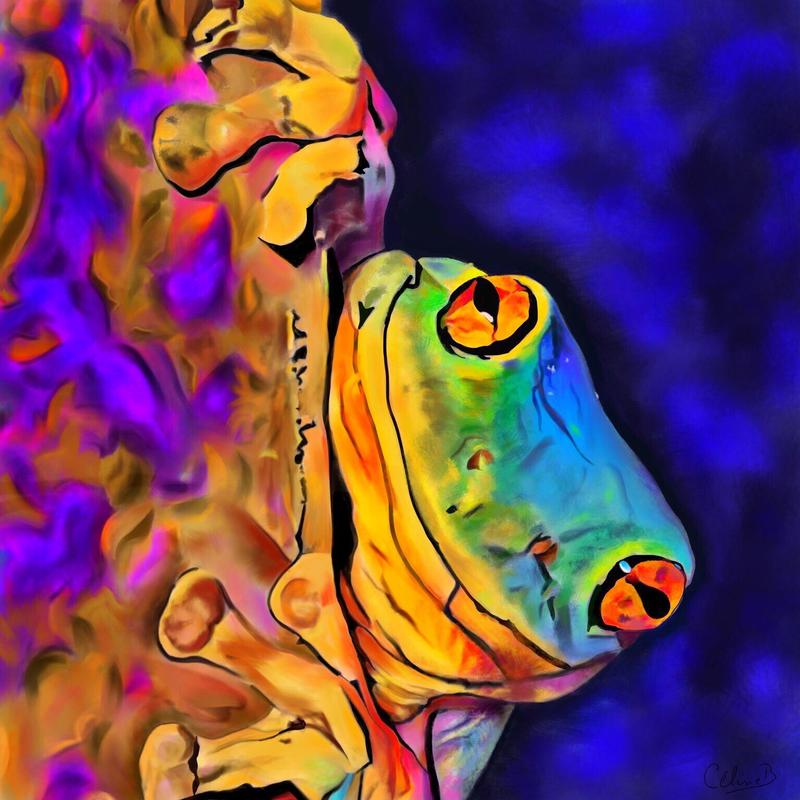 The Frog - Digital Art 