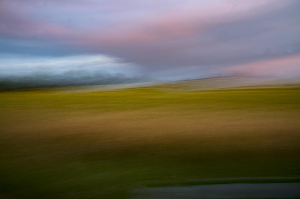 Blurred image of barley field against an evening sky with pink clouds