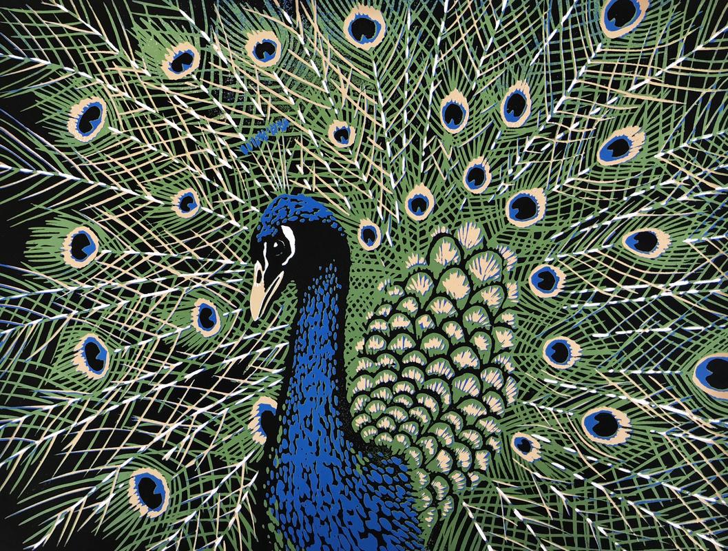 Peacock - linocut by Gerry Coles NFS