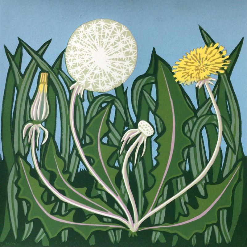 Dandelion days -linocut by Gerry Coles NFS
