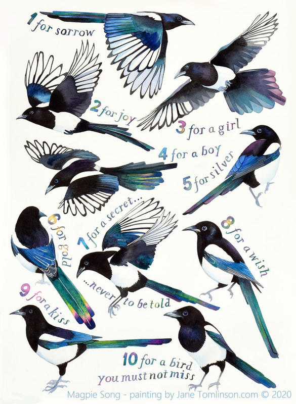 Magpie Song by Jane Tomlinson