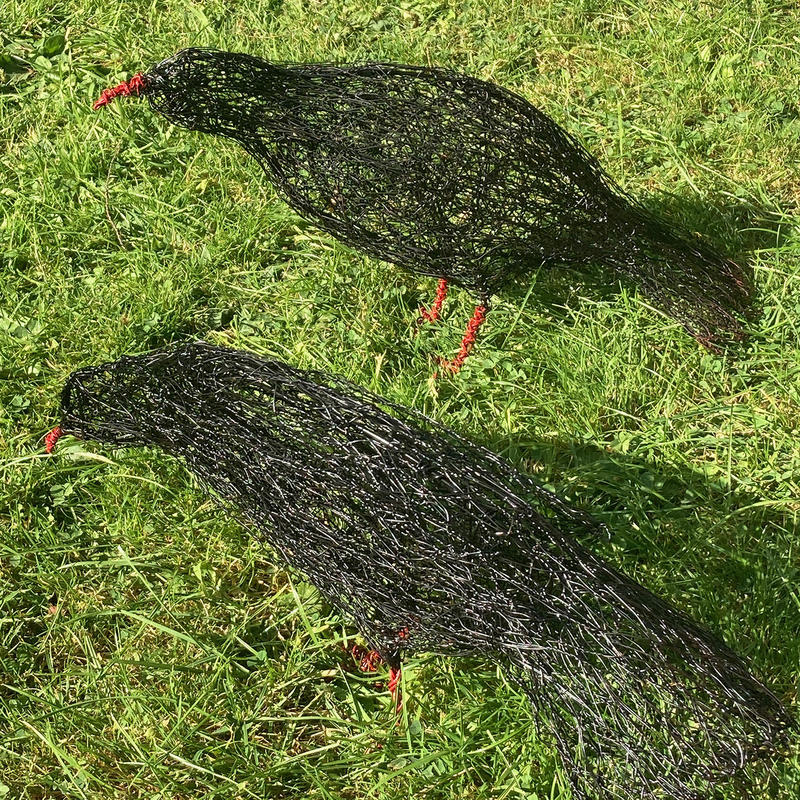 Two Cornish Choughs. Painted wire. Life-size garden sculpture. £280 (pair) 
