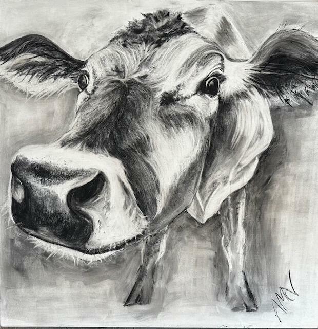 Andrea McVeigh: Jersey Cow