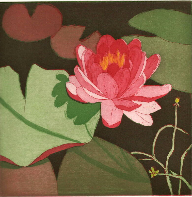 Claire Drinkwater: Water Lily
