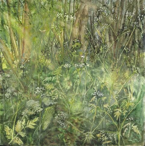 Judith Yarrow: FarmED - cow parsley, spring woodland copse 