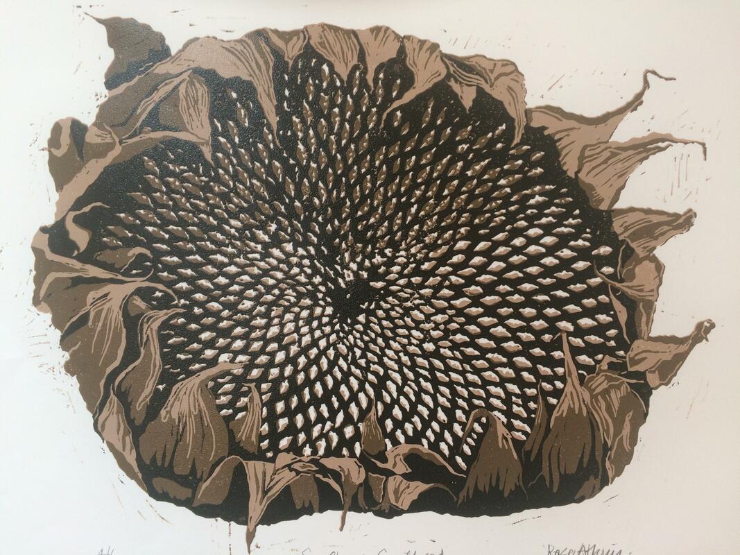 Rosemary Atkins: Sunflower Seed Head
