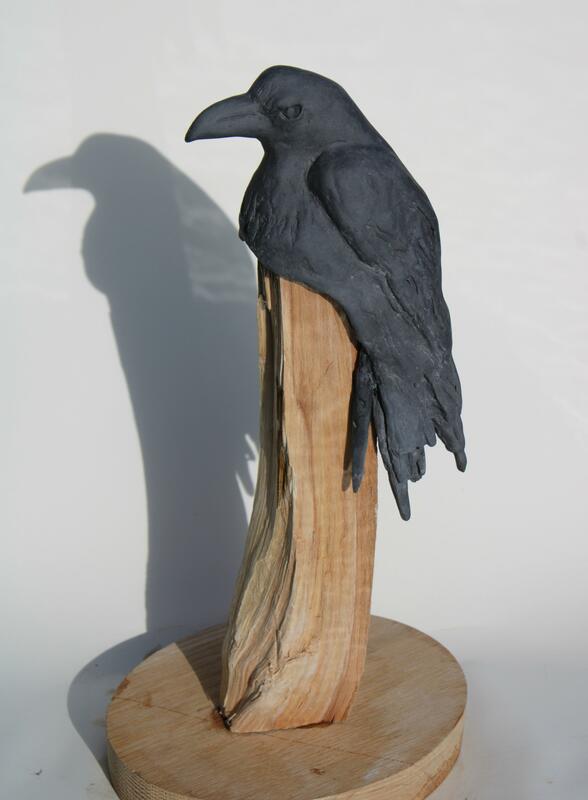 Sheila Hore: Raven