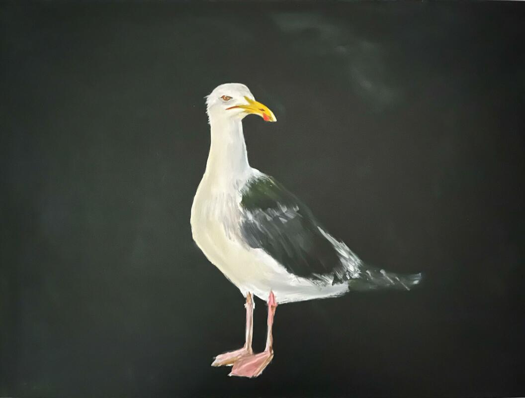 seagull painting by Anna Lockwood