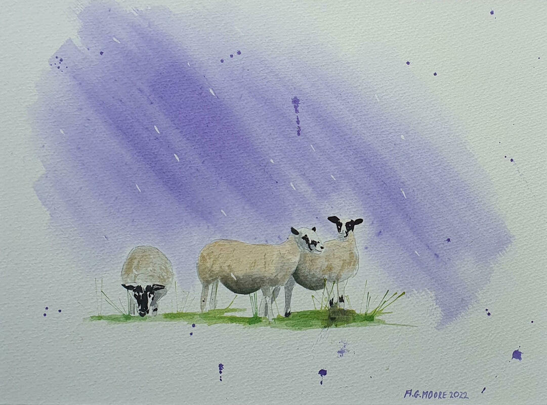 Spring Sheep