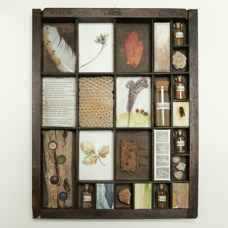'Elements of FarmEd', mixed media on antique letterpress tray, 28 x 36 x 3cm, £495