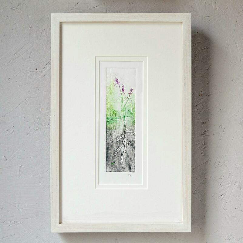 'FarmEd Plant Collagraphs', Caligo Safewash Inks on cartridge paper, 25 x 38 x 3cm, framed, £220 each