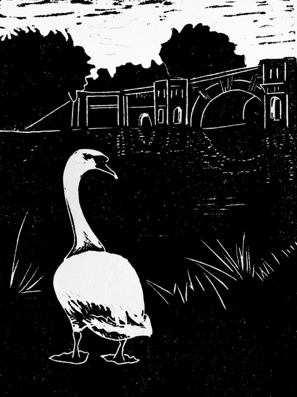 'Blenheim Swan' by Caroline Gibson Prints