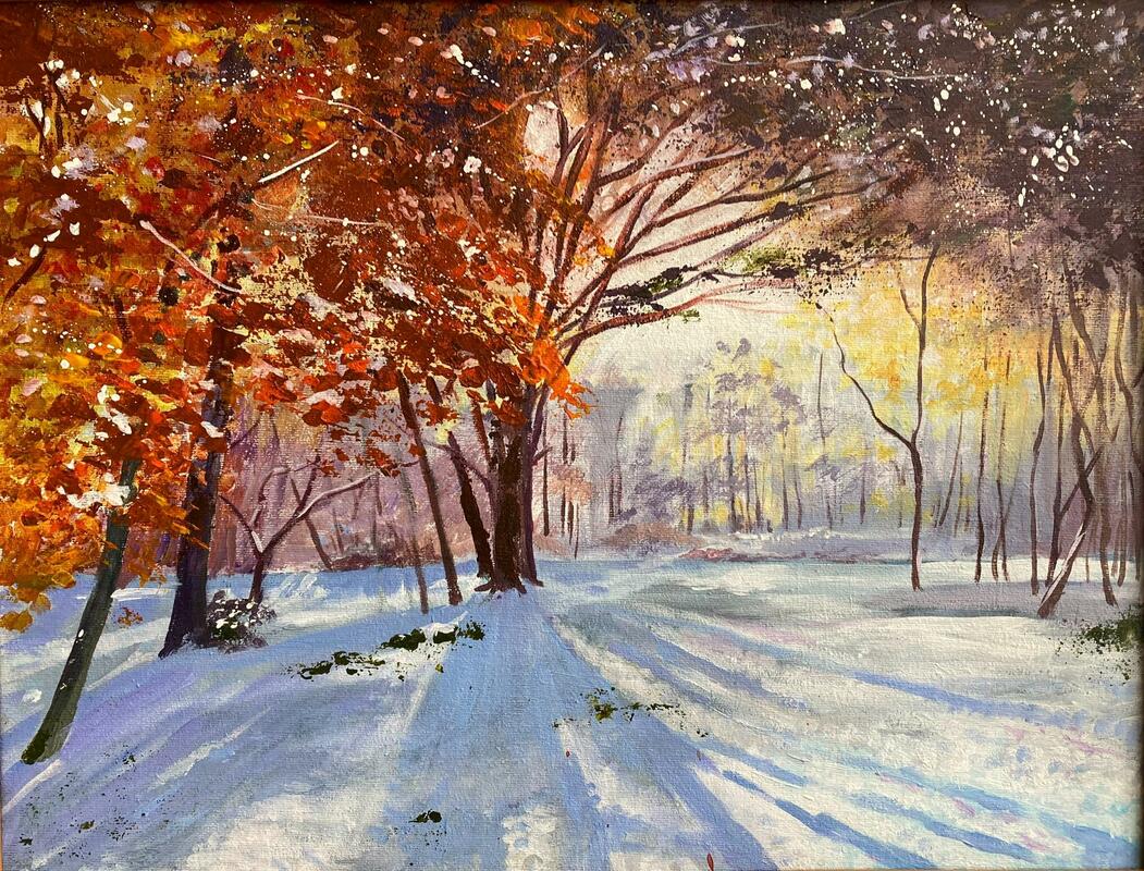 Light through snowy trees. 