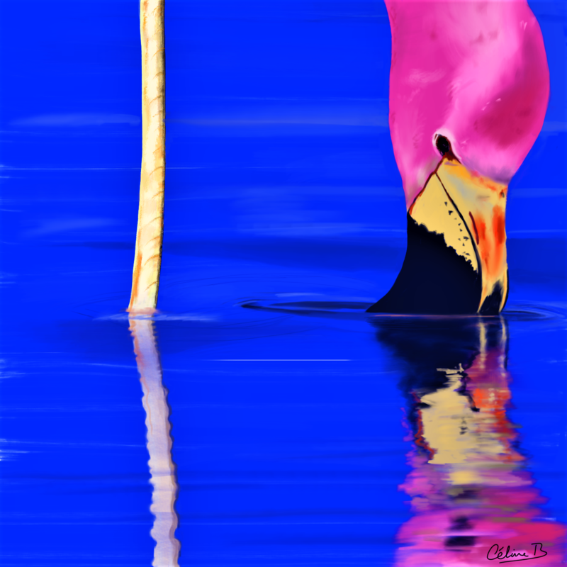 Flamingo, digital painting.