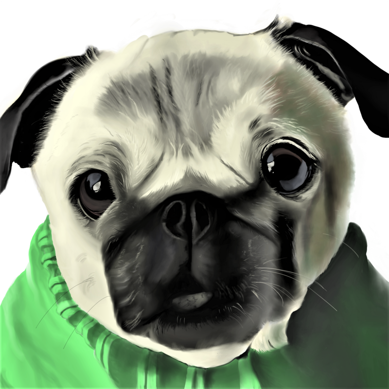 Green Jumper Pug, digital painting.