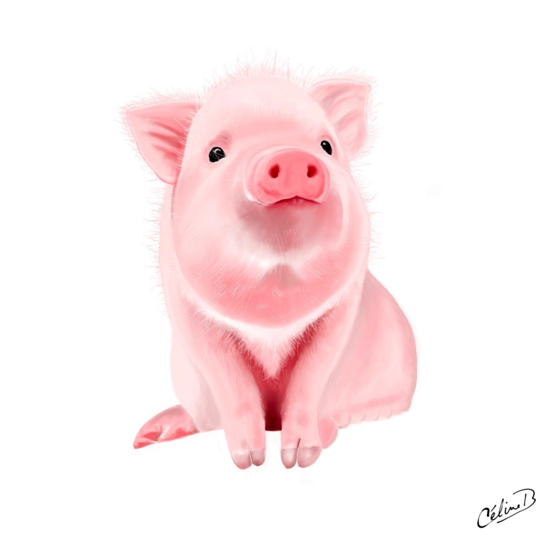 Piggy, digital painting.