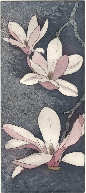 Magnolia. Etching. 9.75" x 4.25" Edition of 10