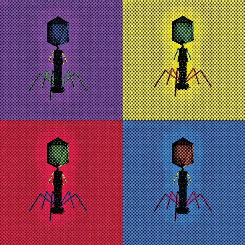 T4 bacteriophage composite