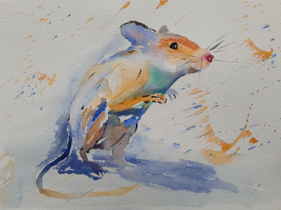 The Field Mouse 16"x19"£220 White frame