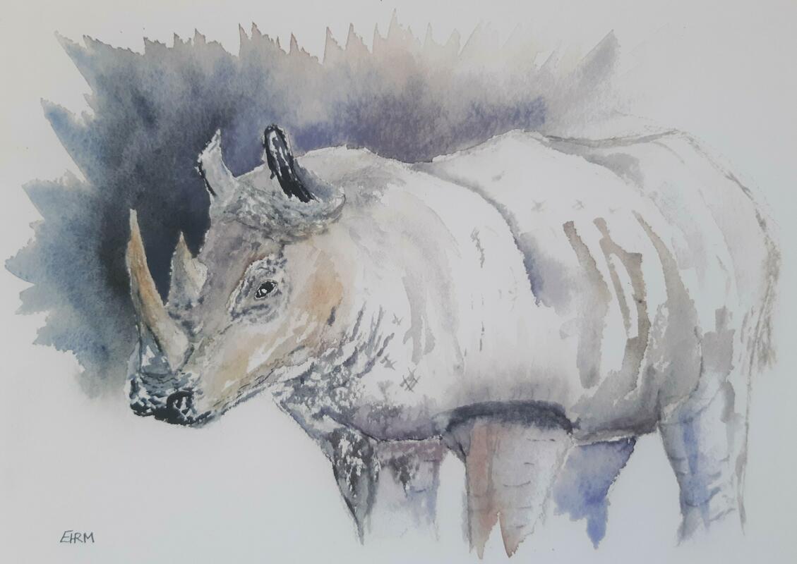 The Rhino 13"x16" £220, White frame