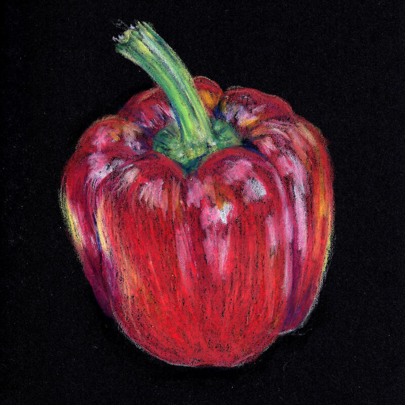 Red Pepper £38 - Framed Watercolour Crayon Drawing by Elaine Newson