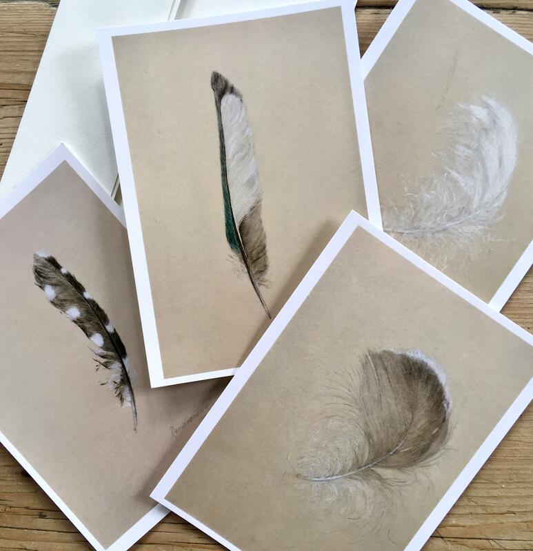 feathers postcards