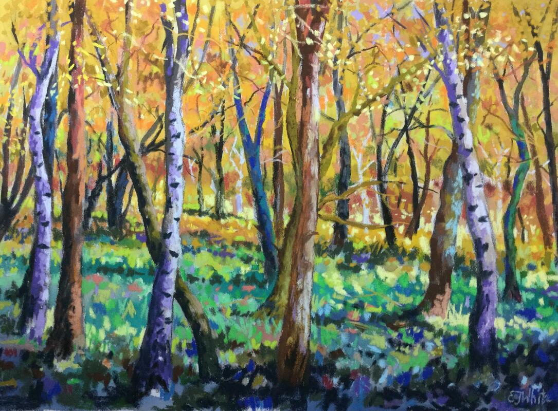 Woodland series, Autumn