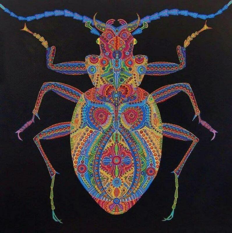 Chromatophore Bug 100x100cm £5,000