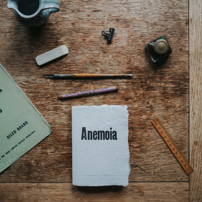 Anemoia notebook, £19