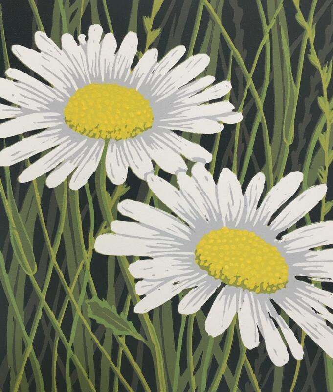 Ox-eye daisies linocut by Gerry Coles