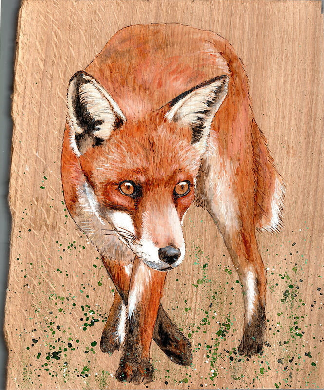 Fox pyrography and watercolour