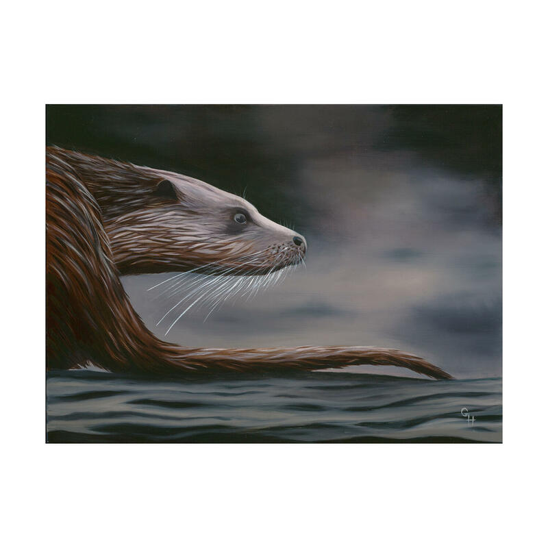 An Otter's Tail