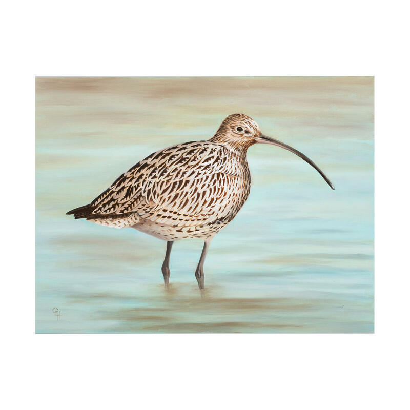 Red List - Curlew