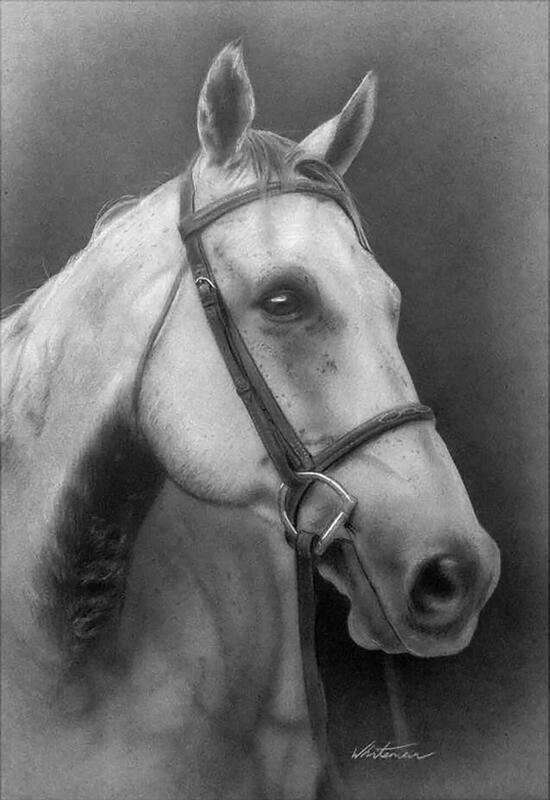 Horse, acrylic and pencil on card.