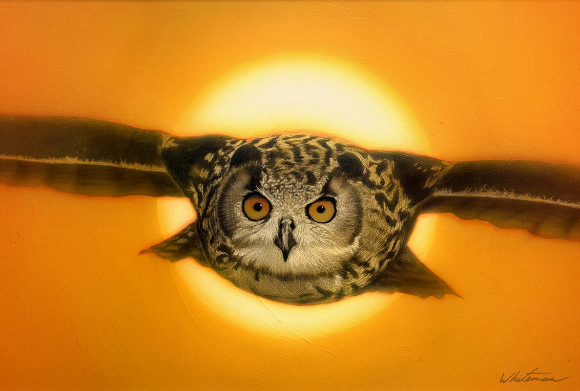 Eagle Owl, acrylics on gessoed board.