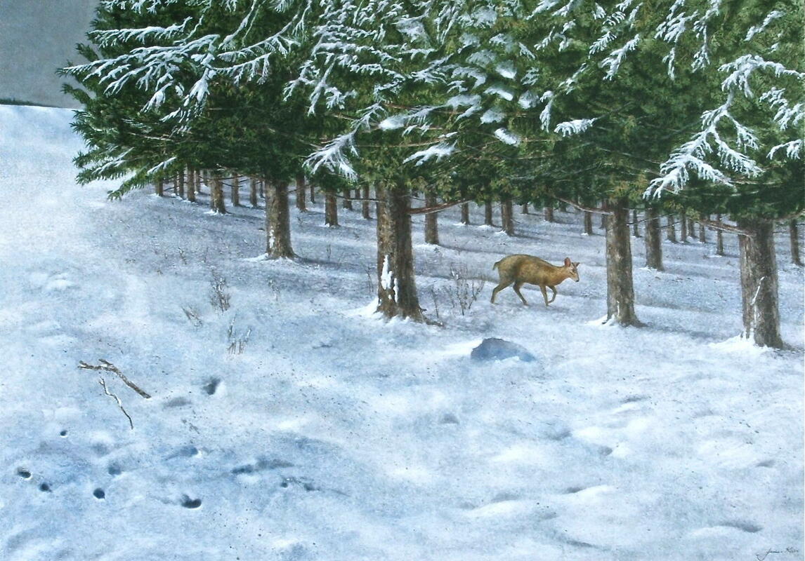 The Muntjac Acrylic on gessoed panel 26" x 36"