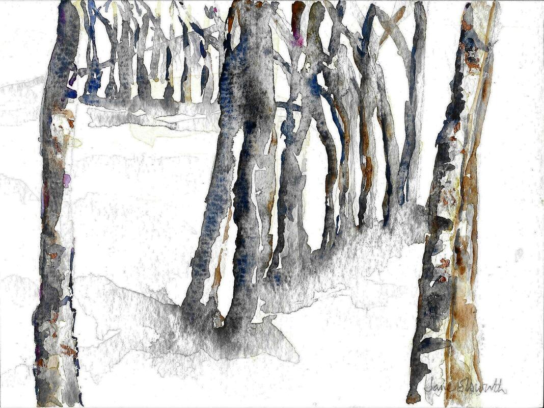 Winter Woodland.  Watercolour on Paper.