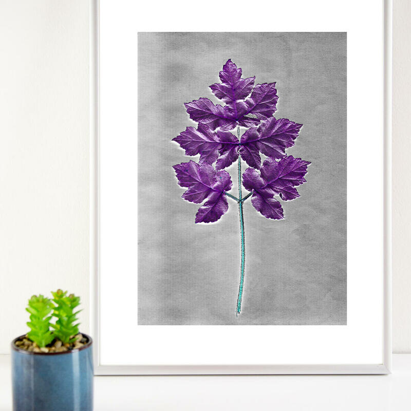 Photogram Style Botanical print purple leaf on white