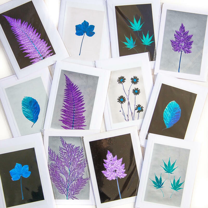Range of Botanical prints as cards