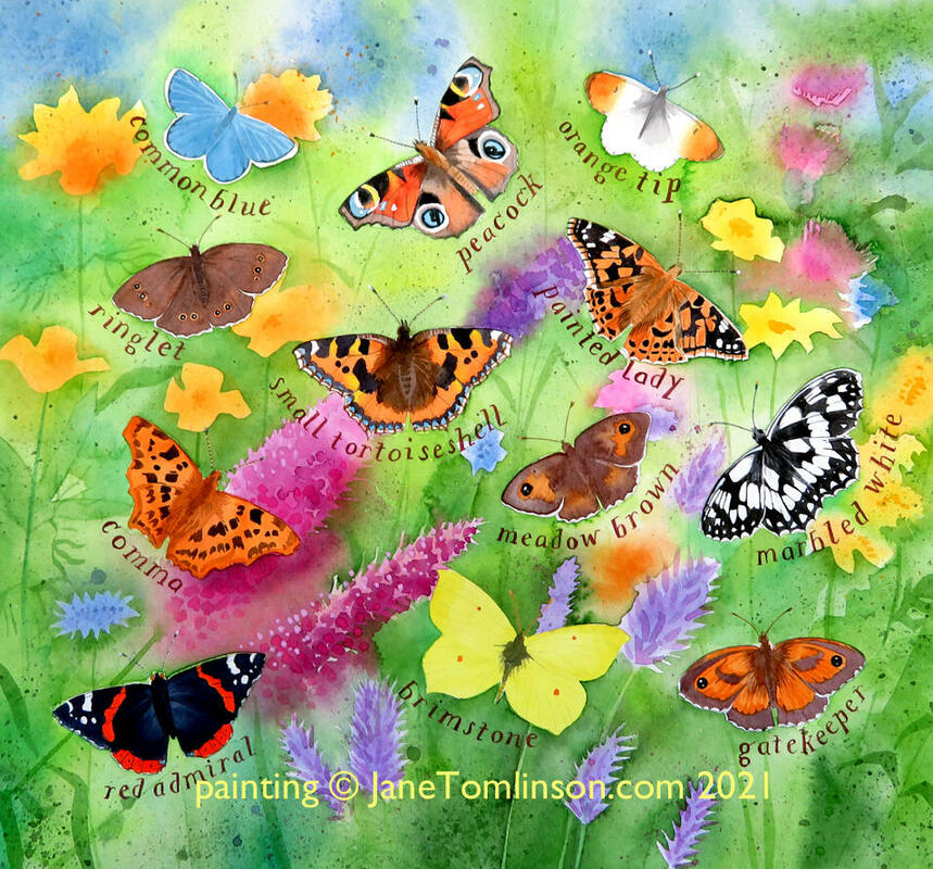 Butterflies in the garden