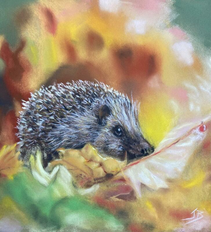‘Hunting for a Warm Bed’ - soft pastels, 15.5 x 14.5 inches framed - £350